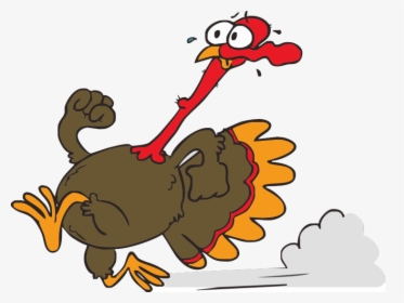 Transparent Funny Turkey Png - Running Turkey Clipart, Png Download, Transparent PNG