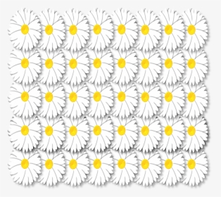 Daisy, HD Png Download, Transparent PNG