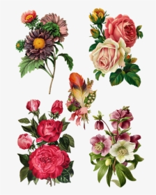 Collage, Vintage, Flower, Bouquet, Decoration, Paper - Flowers For Decoupage, HD Png Download, Transparent PNG