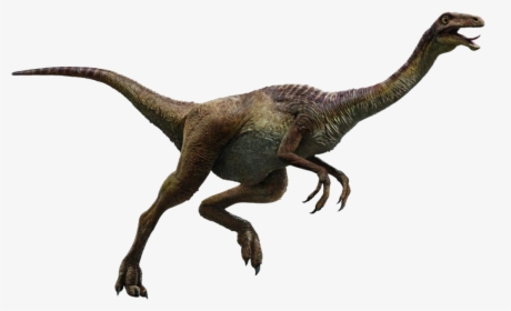 Transparent Velociraptor Png - Jurassic World Dinosaurs Gallimimus, Png Download, Transparent PNG