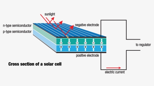 Solar Cell Anatomy - Pannello Fotovoltaico Come Funziona, HD Png Download, Transparent PNG