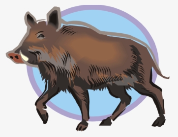 Free Warthog Wild Boar - Wild Boar Clipart Png, Transparent Png, Transparent PNG