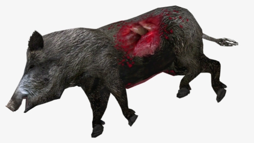 Dead Wild Boar , Png Download - Wild Boar, Transparent Png, Transparent PNG