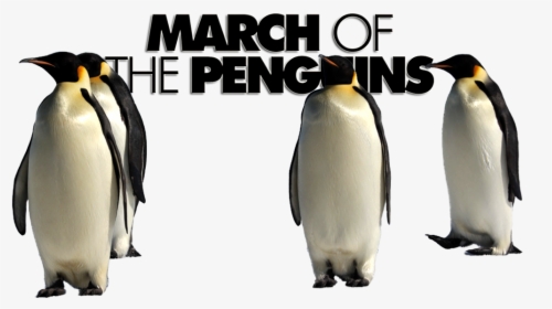 March Of The Penguins Png, Transparent Png, Transparent PNG