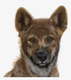 Photoshop, Painted, Computer Graphics, Graphic Design - Dogs Free Photos For Photoshop, HD Png Download, Transparent PNG