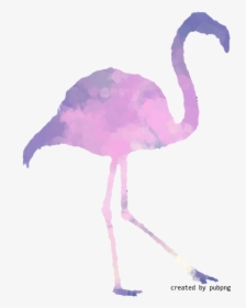 Pink M, Beak, Bird, Low Poly Transparent Png Image - Greater Flamingo, Png Download, Transparent PNG