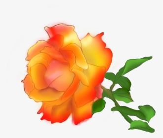 Transparent Paint Spray Gun Clipart - Garden Roses, HD Png Download, Transparent PNG