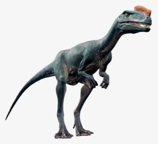   - Proceratosaurus Jurassic World Evolution, HD Png Download, Transparent PNG