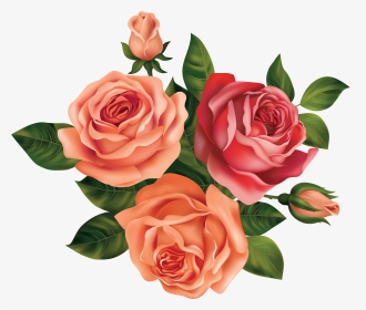 Yellow Rose Flower Free Png Transparent Images Free - Beautiful Flower Rose Drawing, Png Download, Transparent PNG