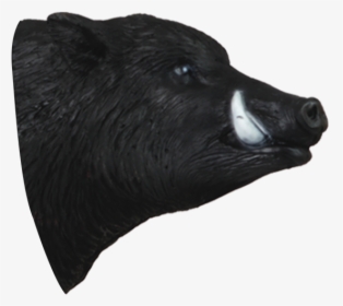 Wild Boar 3d Archery Target Replacement Head - American Black Bear, HD Png Download, Transparent PNG
