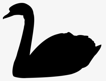 Swan,water Bird,neck - Swan Silhouette Png, Transparent Png, Transparent PNG