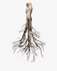 Tree Roots Surreal Woman Tumblr Ftestickers, HD Png Download, Transparent PNG