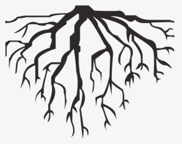Hausarrest ▻ Deep Roots - Roots Vector Png, Transparent Png, Transparent PNG