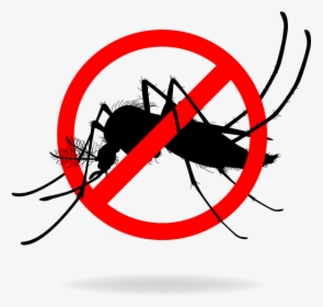 Stop Mosquito Breeding - Stop Mosquito, HD Png Download, Transparent PNG