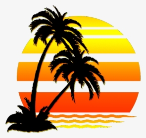 #palmtree #water #sunset #silhouette #sun #aesthetic - Palm Tree Beach Clipart, HD Png Download, Transparent PNG