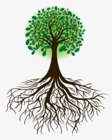 Tree And Roots - Tree With Root, HD Png Download, Transparent PNG