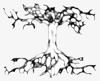 Tree Roots Tree Roots, First Nations, Mother Nature, - Drawing, HD Png Download, Transparent PNG