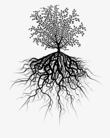 Transparent Tree Of Life With Roots Clipart - Transparent Tree With Roots, HD Png Download, Transparent PNG