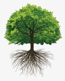 Water Yourself Like A Tree, HD Png Download, Transparent PNG
