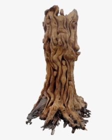 Sculpture Of Tree Roots, HD Png Download, Transparent PNG