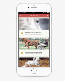 About The Project - Stallion, HD Png Download, Transparent PNG
