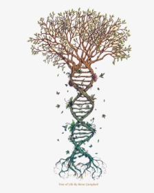 ¿qué Es Nayana Yoga - Tree With Dna Roots, HD Png Download, Transparent PNG