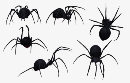 Parasite - Spider Drawing Side View, HD Png Download, Transparent PNG