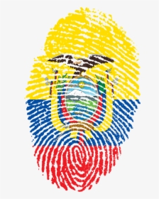 Interesting Facts About Ecuador Flag - Huella Venezuela Png, Transparent Png, Transparent PNG