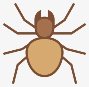 Transparent Colorful Spiders Clipart - Weevil, HD Png Download, Transparent PNG