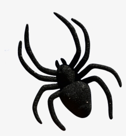 Widow Spiders Halloween Clip Art Image - Art Halloween Spider, HD Png Download, Transparent PNG