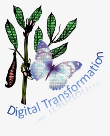 Illustration, HD Png Download, Transparent PNG