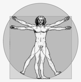 Transparent Human Figure Png - Da Vinci Human Png, Png Download, Transparent PNG