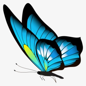 Blue Butterfly Png Download - Cute Baby Bird Drawing, Transparent Png, Transparent PNG
