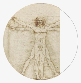 Famous Drawing Of Man, HD Png Download, Transparent PNG