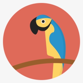 File Creative Tail Animal - Parrot In A Circle, HD Png Download, Transparent PNG