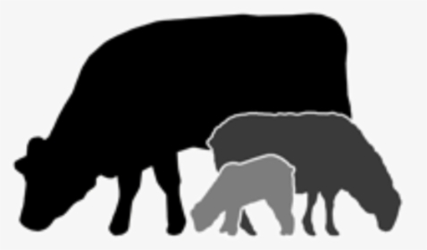 Grazing Icon, HD Png Download, Transparent PNG