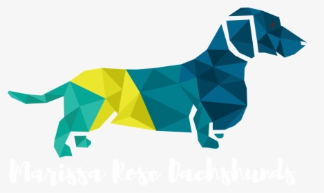 Prairie Mammal The Puppy Dachshund Icon Clipart - Transparent Background Dachshund Clipart, HD Png Download, Transparent PNG