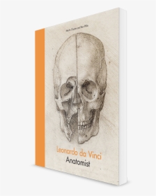 Leonardo Da Vinci Skull, HD Png Download, Transparent PNG