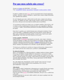 Document, HD Png Download, Transparent PNG