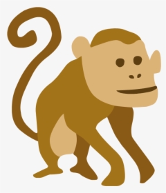 New World Monkey, HD Png Download, Transparent PNG