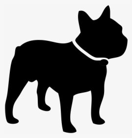 Domesticated And Feral - Heat Stroke French Bulldog, HD Png Download, Transparent PNG