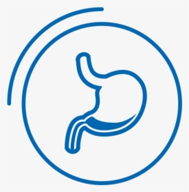 Medico Gastroenterologo Logo, HD Png Download, Transparent PNG