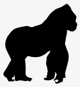 Gorilla Silhouette Clip Art - Transparent Gorilla Silhouette, HD Png Download, Transparent PNG