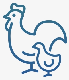 Icon Poultry & Egg Production - Icon Poultry Production, HD Png Download, Transparent PNG