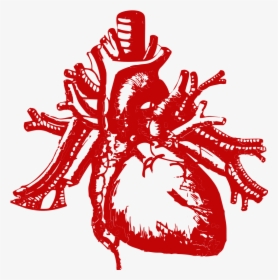 Real Heart Silhouette Png Transparent - Tell Tale Heart, Png Download, Transparent PNG