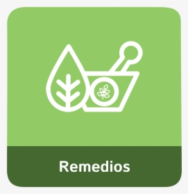 Medicinal Plants Icon, HD Png Download, Transparent PNG