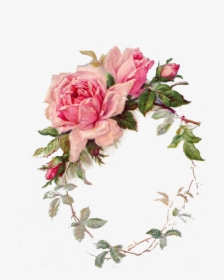 Frame Pink Vintage Rose Png, Transparent Png, Transparent PNG