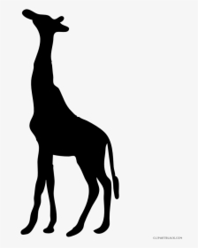 Jpg Transparent Library Giraffe Black And White Clipart - Giraffe Clipart Silhouette, HD Png Download, Transparent PNG