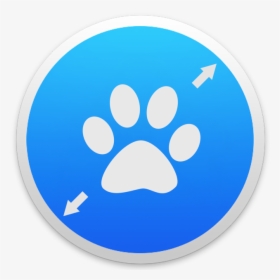 Paw, HD Png Download, Transparent PNG