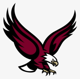 Eagle Vector - Boston College Eagle Logo, HD Png Download, Transparent PNG